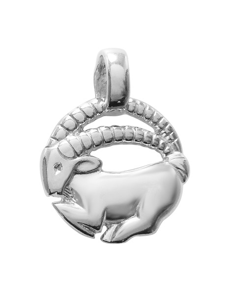 SREBRNY WISIOREK ZNAK ZODIAKU KOZIOROŻEC