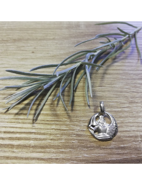 SREBRNY WISIOREK ZNAK ZODIAKU WODNIK