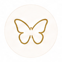Motyle
